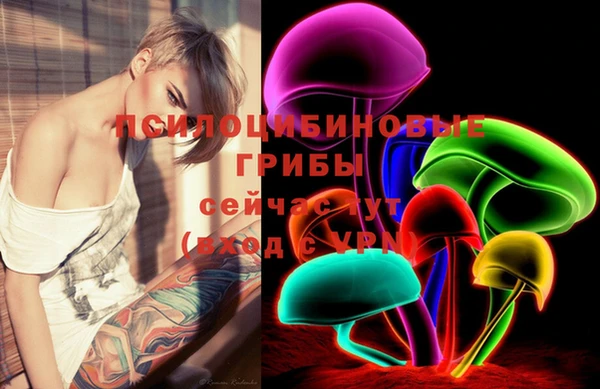 гашик Заволжье
